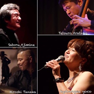はいどらんじあyoko 2019 6 8 写真.jpg